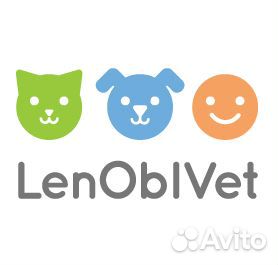 Ассистент ветеринарного врача
