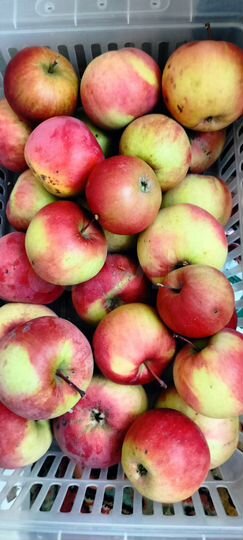 Дача 25 м² на участке 8 сот.