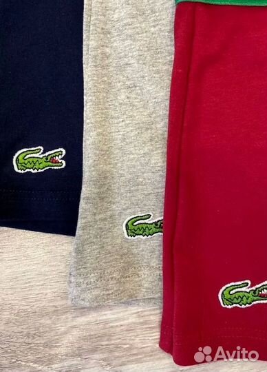 Мужские трусы Lacoste