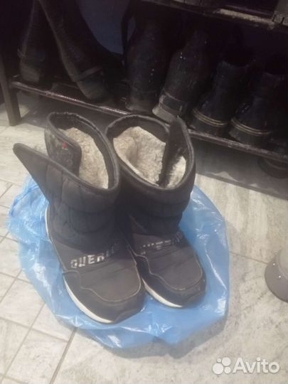 Дутики осенние