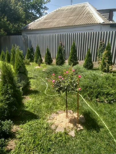 Дом 83,6 м² на участке 10 сот.