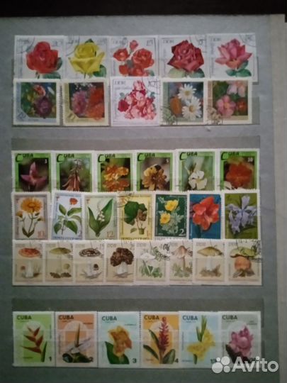 Альбом с марками. Флора