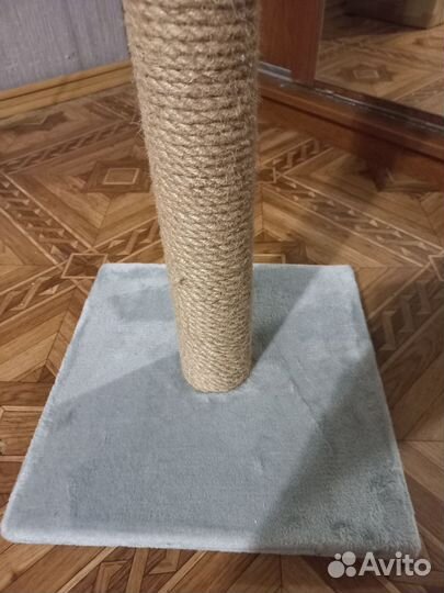 Когтеточка