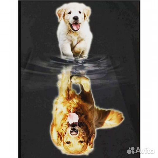 Алмазная мозаика набор