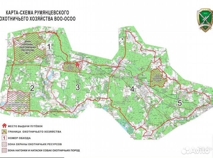 Охота на кабана \ охота на лося