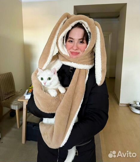 Передержка собак в домашних условиях СПб