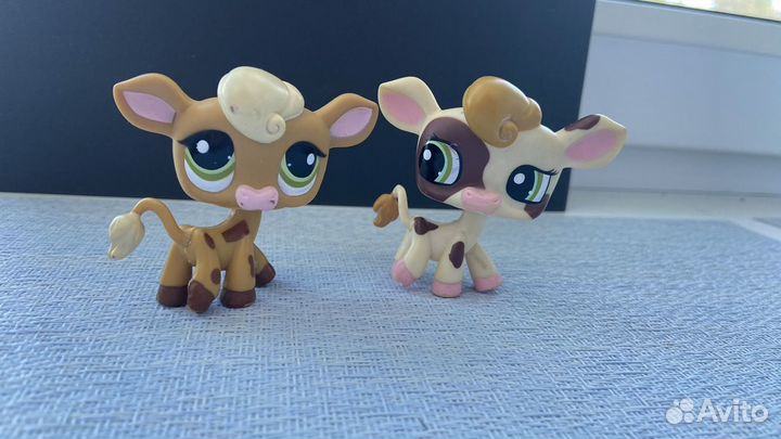 Littlest Pet Shop