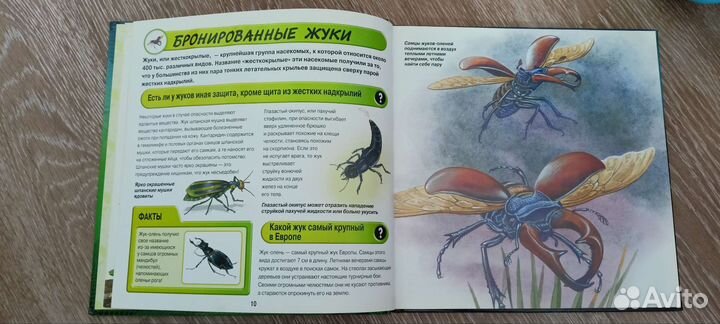 Насекомые и другие маленькие животные