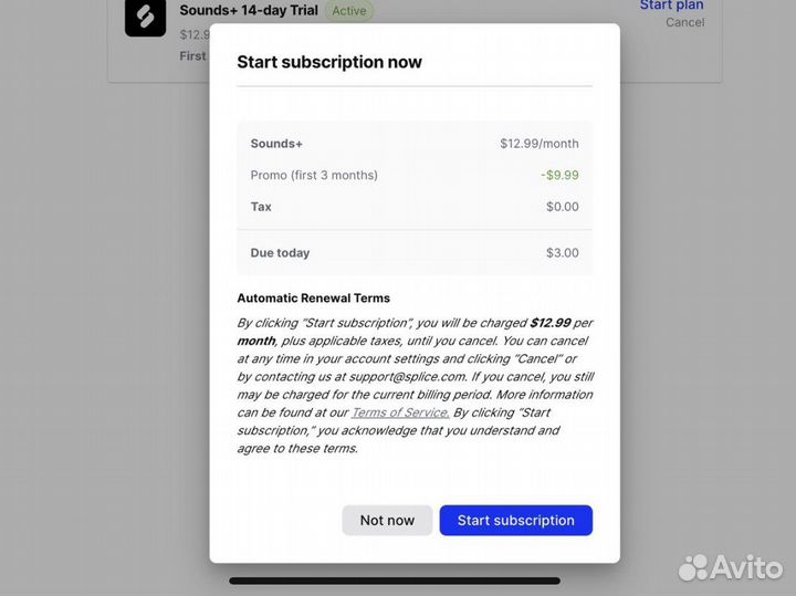 Splice Sounds+ подписка 3 месяца сэмплы samples