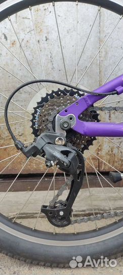 Mongoose rockadile 24