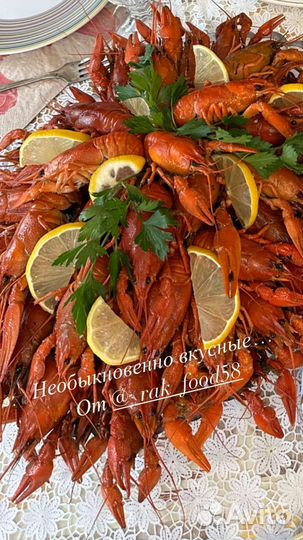 Живые и вареные раки на ул. итр 5а