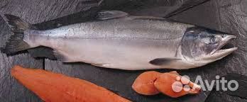 Горбуша, терпуг, лосось (австралийский )