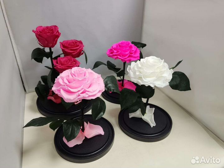 Цветы оптом