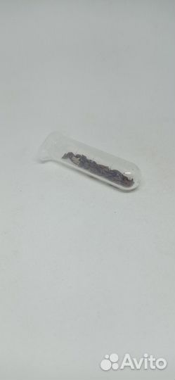 Семена Криптомерии японской