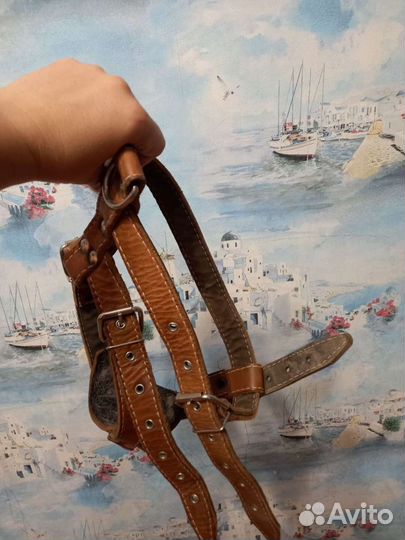 Кожанная шлейка для крупной собаки