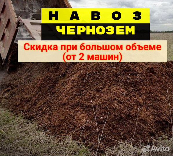 Навоз в Нижнем Новгороде