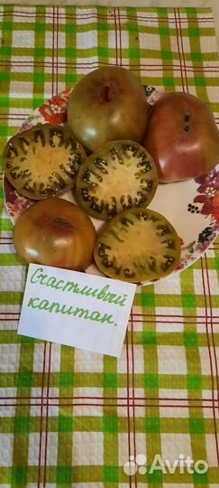 Семена коллекционных томатов