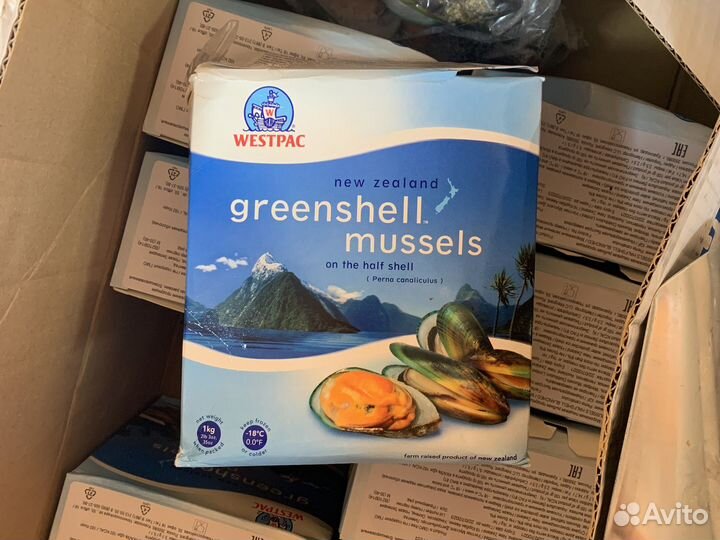 Мидии голубые, зеленые в/м