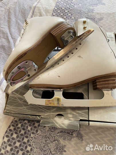 Коньки Jackson Competitor