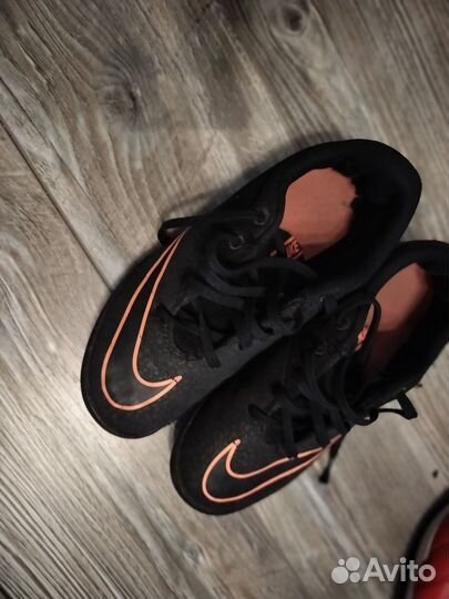 Сороконожки