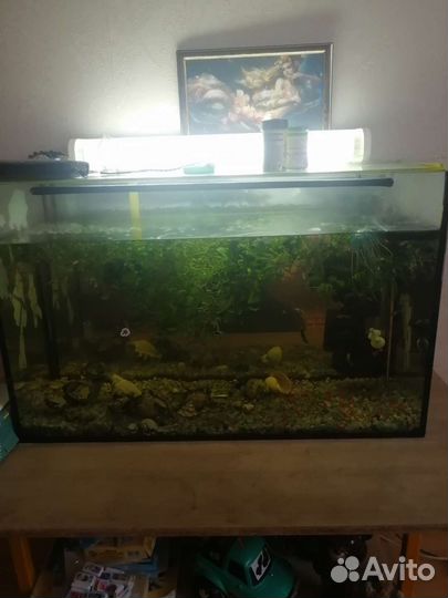 Аквариум с тумбой бу