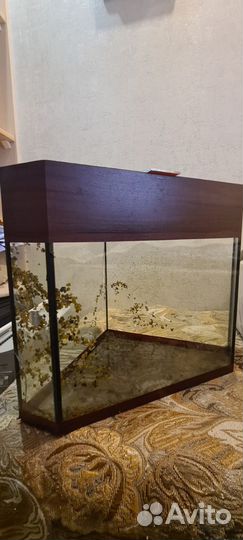 Аквариум угловой 25л, 3434