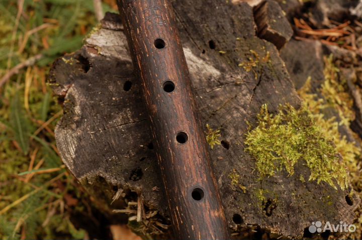Пимак Abedabun NAF / Ясень / Тональность: Ми