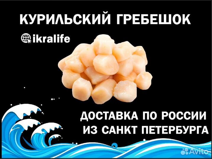 Курильский Гребешок для ресторанов