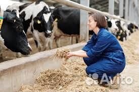 Сотрудник на ферму