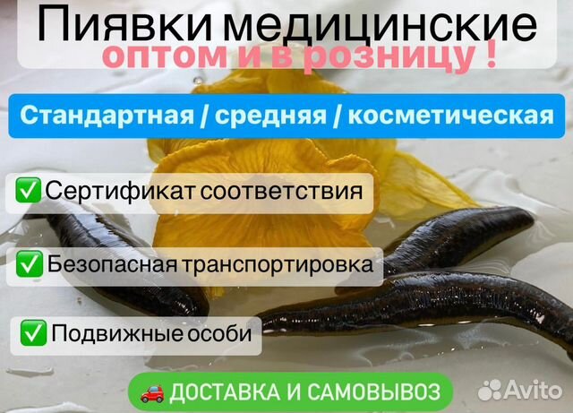 Пиявки медицинские с доставкой по всей России