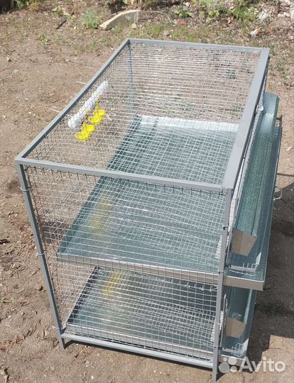 Клетка на 70-80 перепелов с яйцесборником