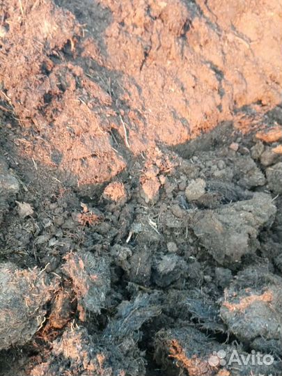 Навоз коровий в мешках