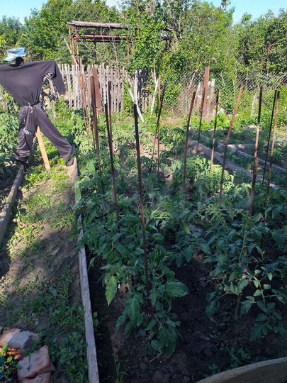 Дача 18 м² на участке 6 сот.