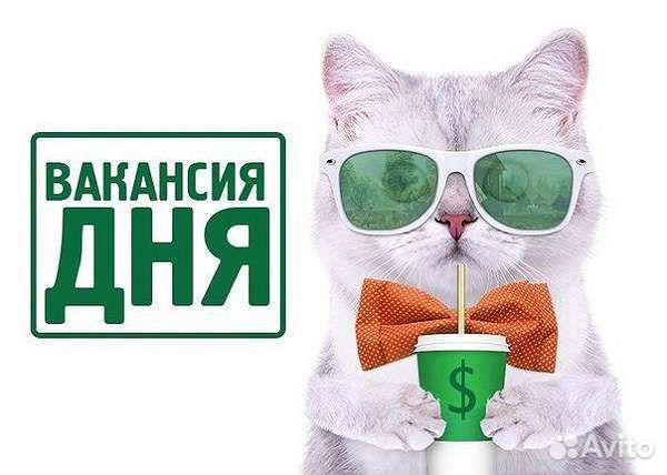Продавец с графиком сутки через двое