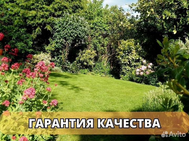 Продажа рулонного газона