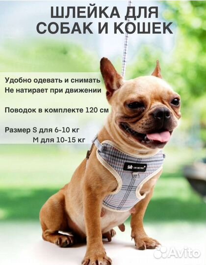 Шлейка с поводком для собаки М