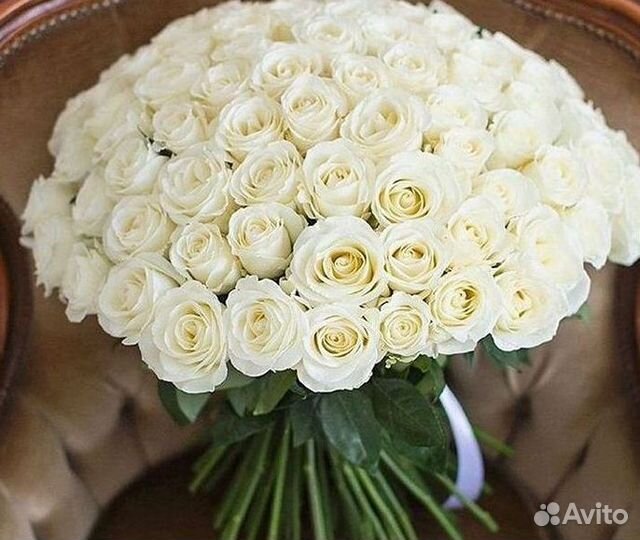 Высокие розы Гигантские розы с доставкой