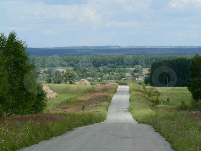 Пирогово Тульская область Щекинский район