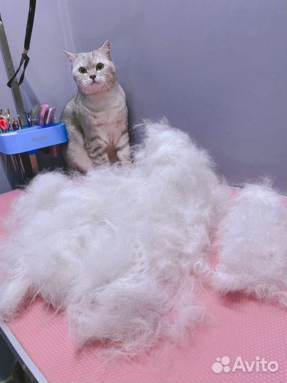 Модель на груминг