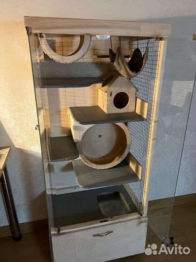 Отдам Дегу в добрые руки + клетка