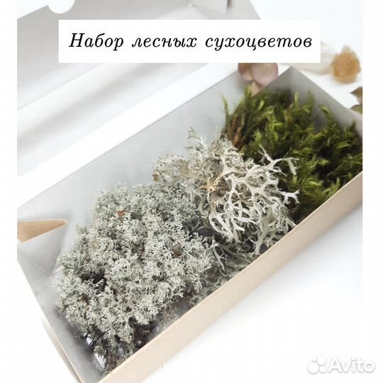 Мох сфагнум сухой