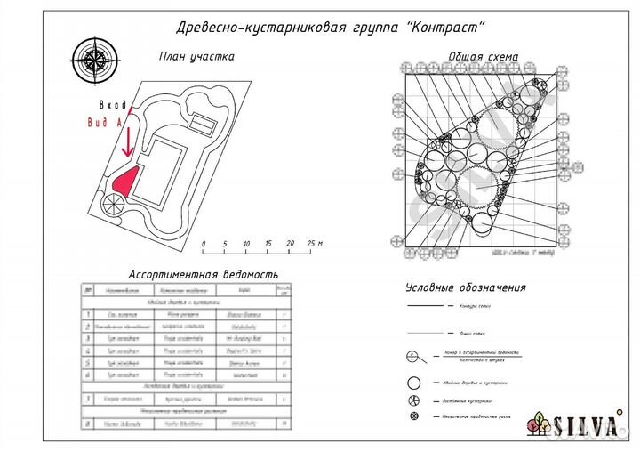 Проектирование древесно-кустарниковых групп