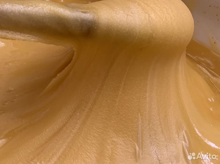 Алтайский мед 3л баллон 23 года сбор