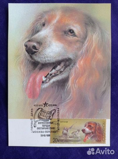 Картмаксимумы 1988г