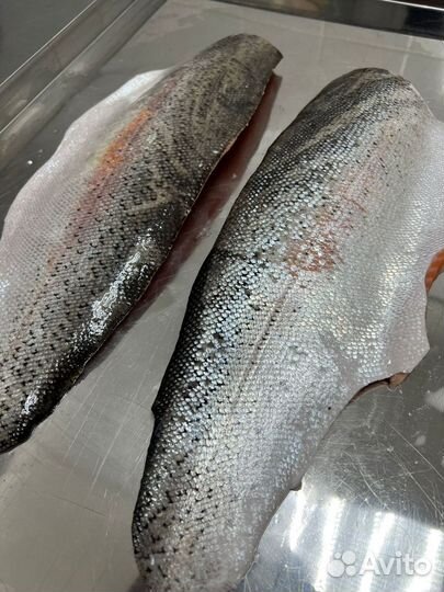 Форель филе