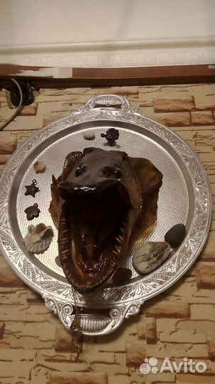 Чучело щуки