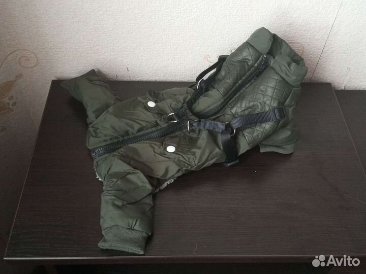 Дождевик для маленькой собаки