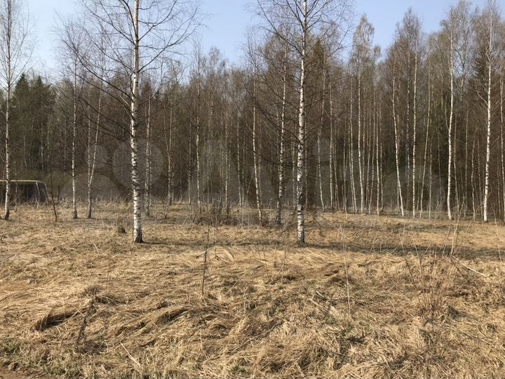 Участок 30 сот. (СНТ, ДНП)