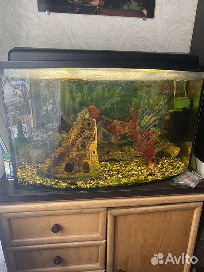 Аквариум