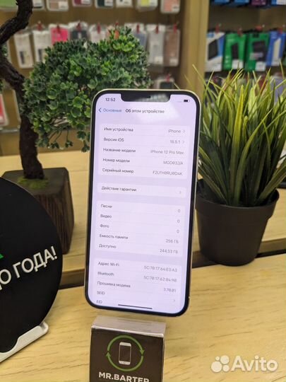 iPhone 12 Pro Max, 256 ГБ